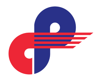 Critical Path Consulting